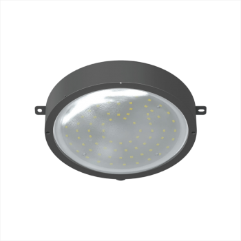 Explosion-proof 270 ceiling light