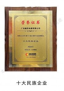 Top 10 Ethnic Enterprises
