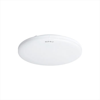 200 ceiling light
