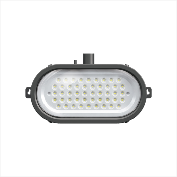Explosion-proof oval light