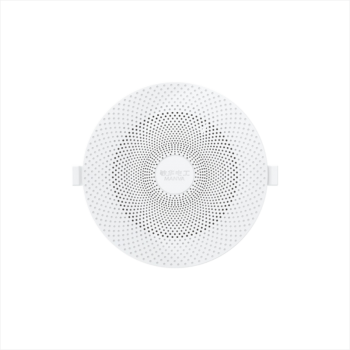 Classic In-Ceiling Speaker - Concealed