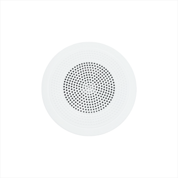 Ceiling Speaker (Recessed)