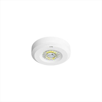 108 Wide Beam Ceiling Light