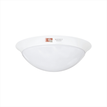 All-plastic round ceiling light