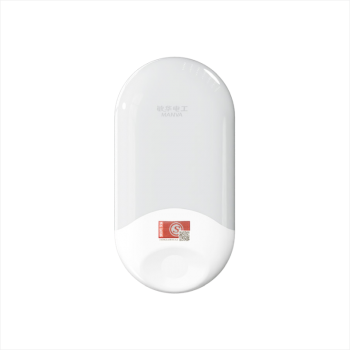 Dual-color Oval Wall Sconce