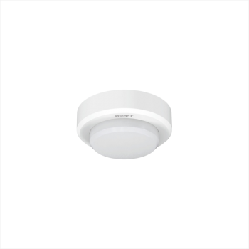 Smoke Detector Ceiling Light
