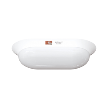 All-plastic oval ceiling light