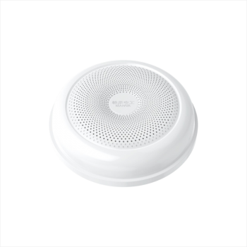 Classic Ceiling-Mount Speaker - Surface Mount..
