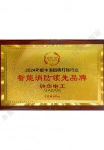 Leading Brand in Intelligent Fire Safety