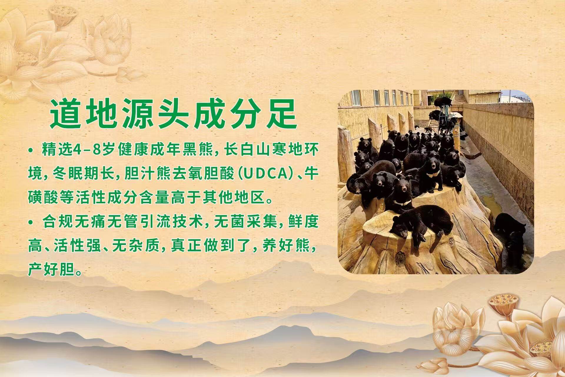 化痰止咳