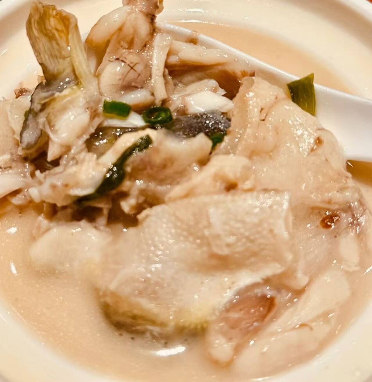 美味河豚