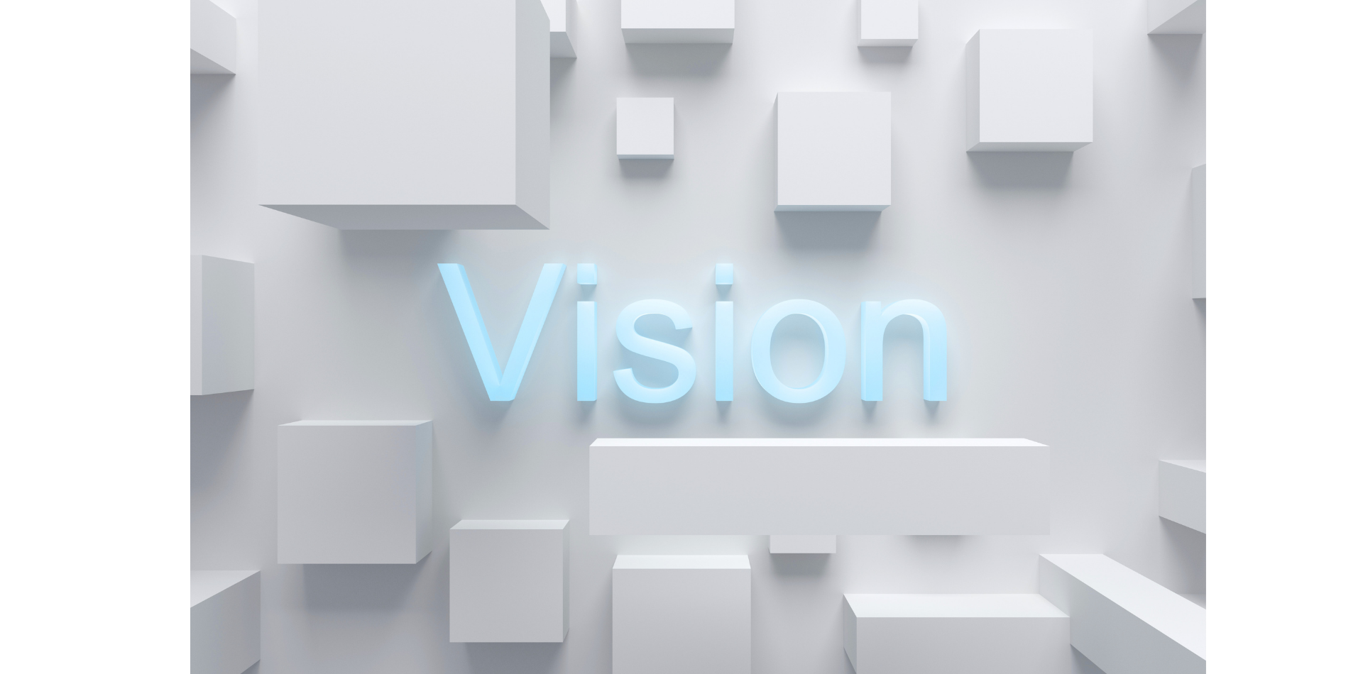 Vision