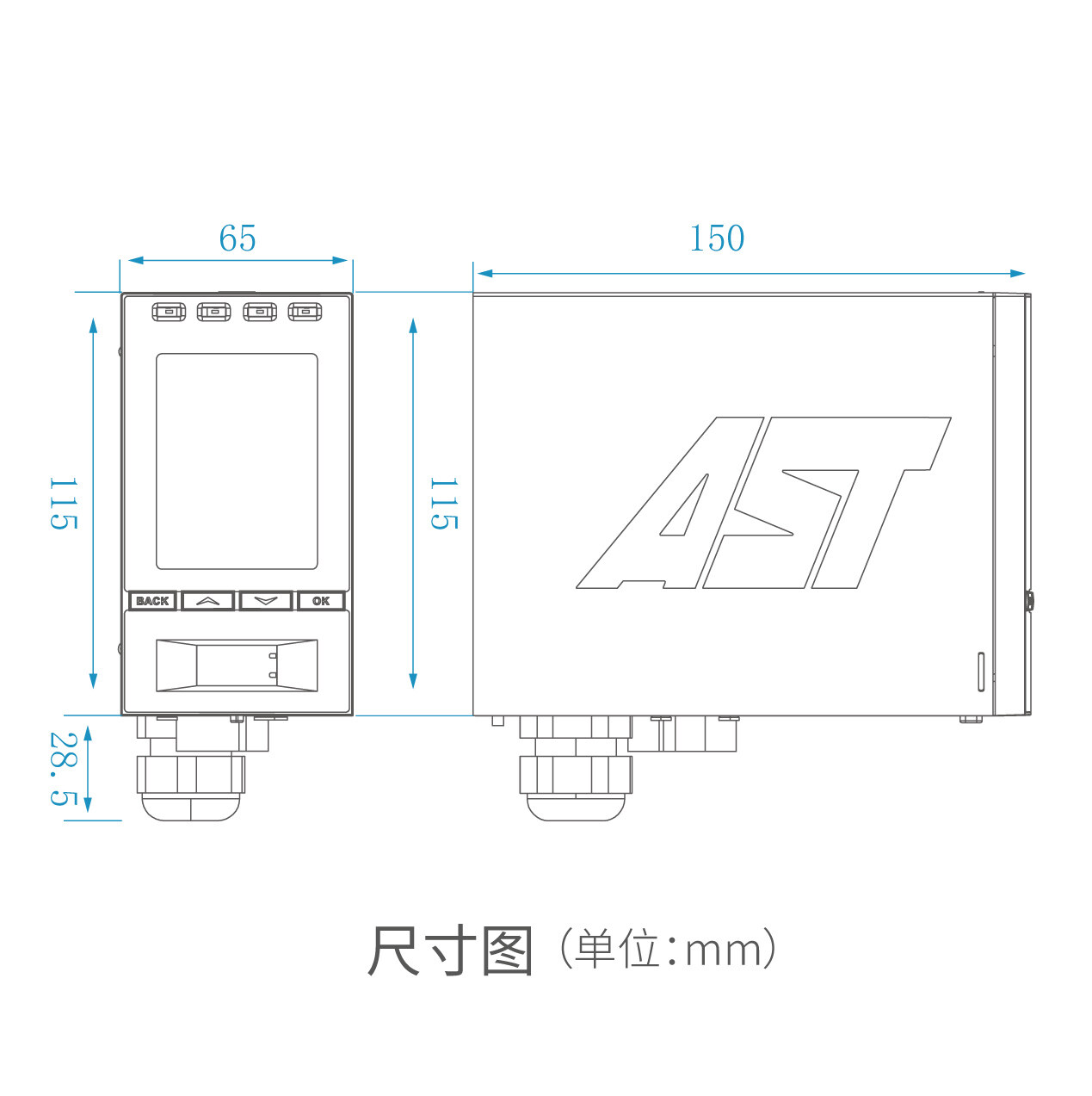 AST1000 EC 气体侦测器产品外观