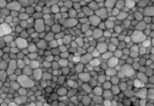 纳米银粉 SEM 图