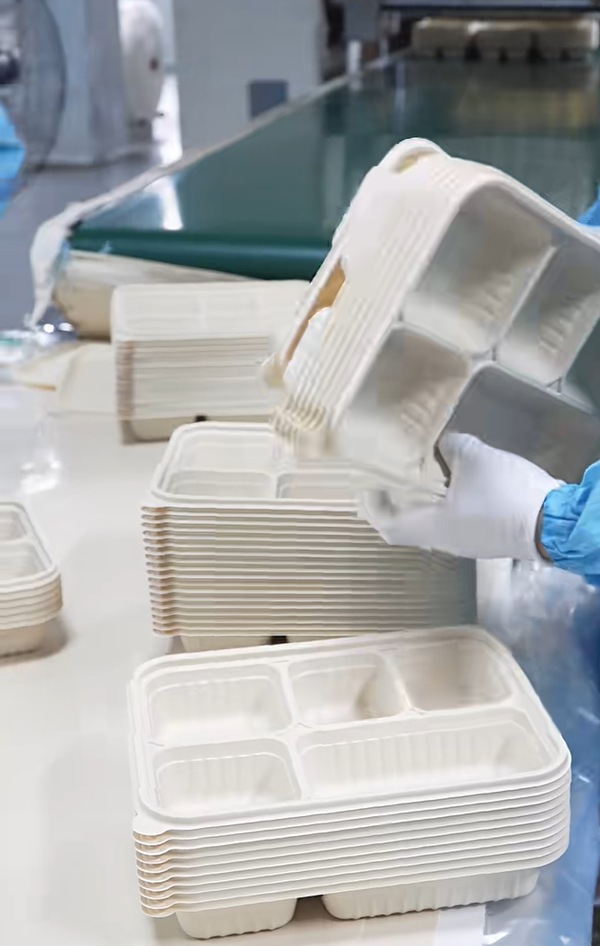 Worker checking a five-compartment lunch box at the inspection table