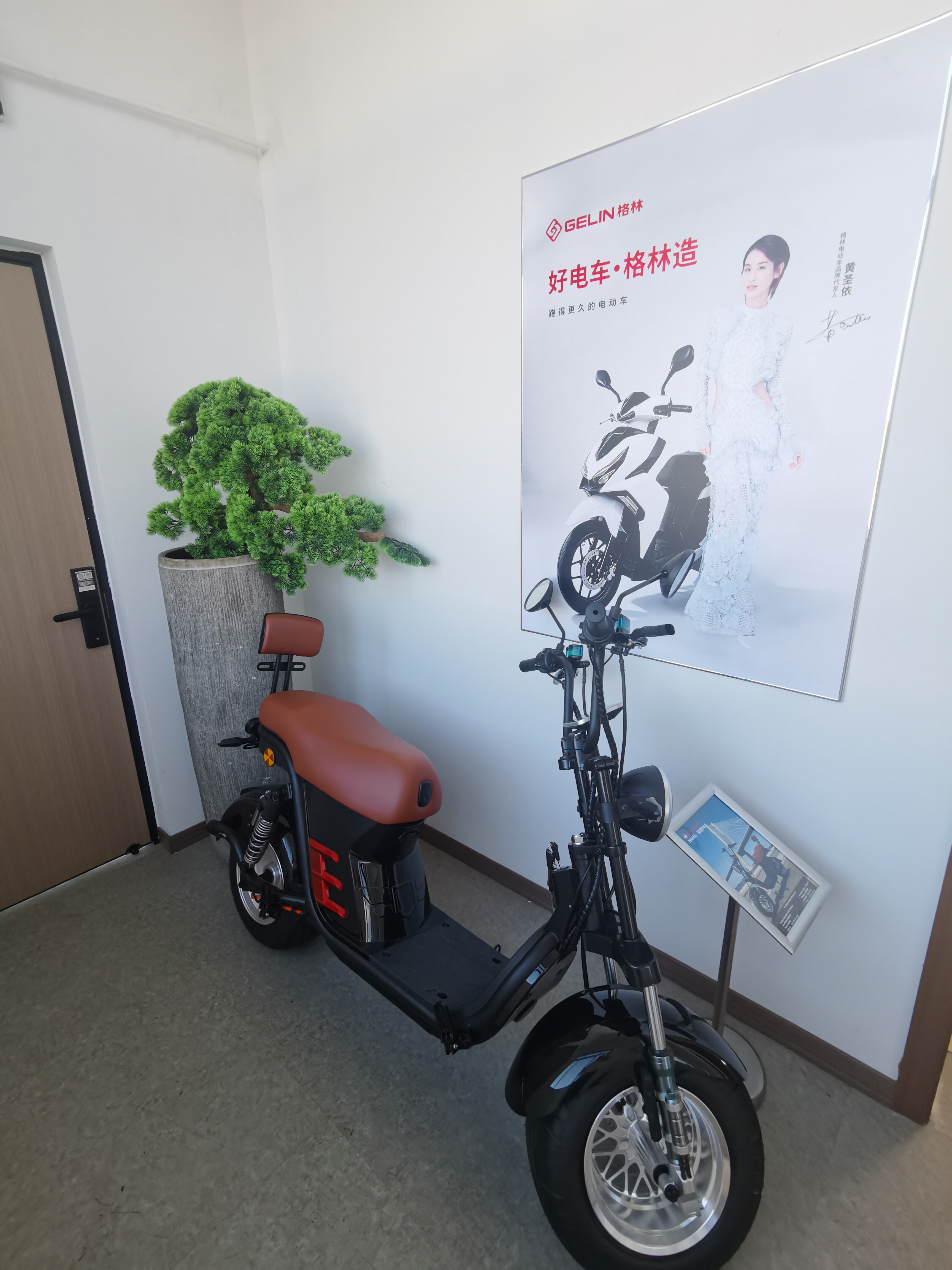 Grand Opening of GELIN Shanghai Branch - 4