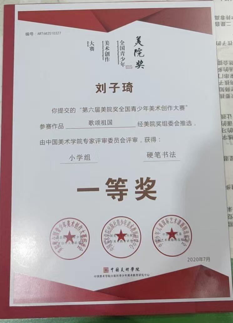 刘子琦获奖证书