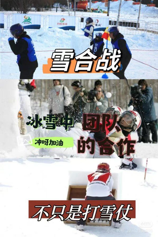 Snowball Fight Team Match