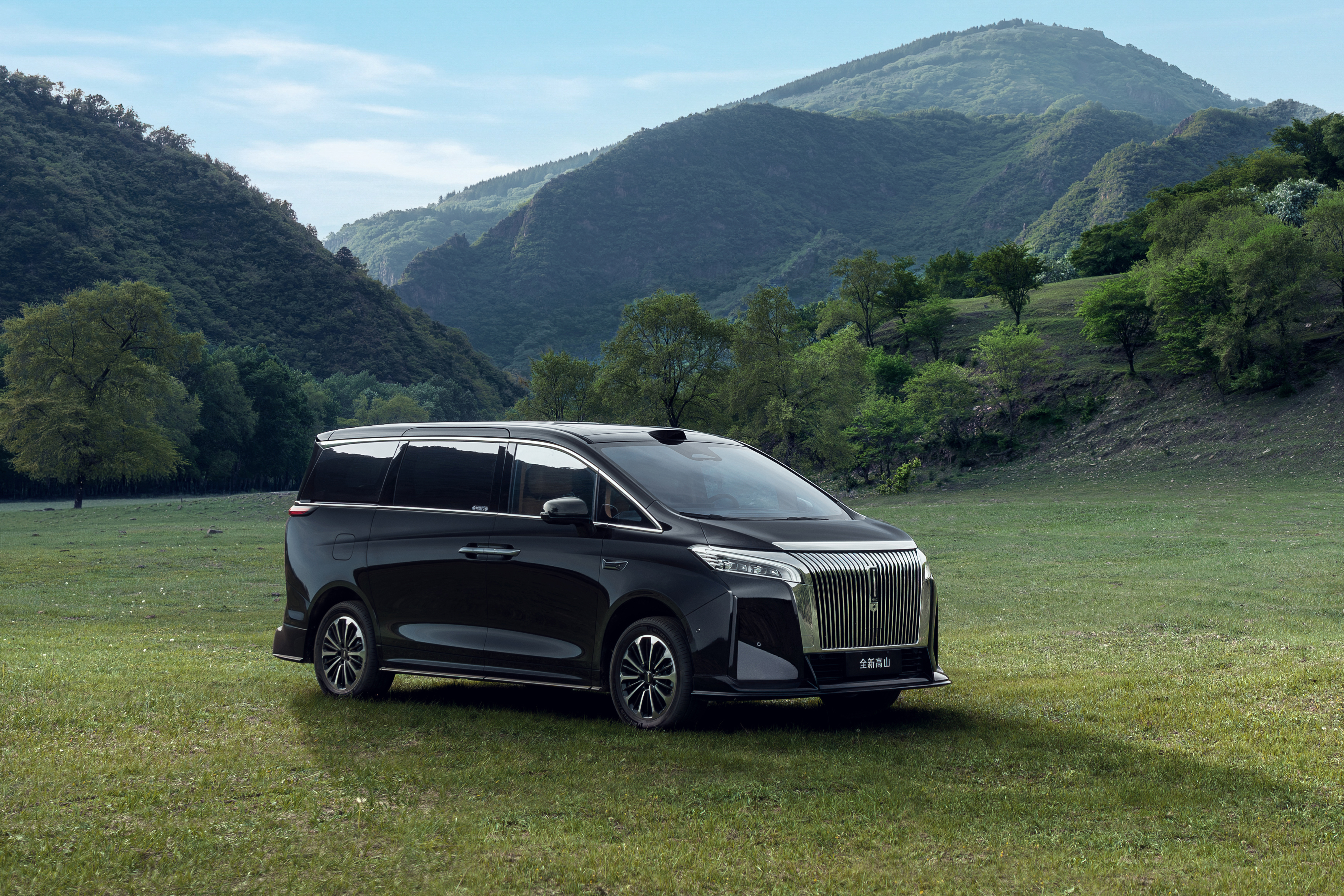 High Mountain 7 SUV - Photo 5