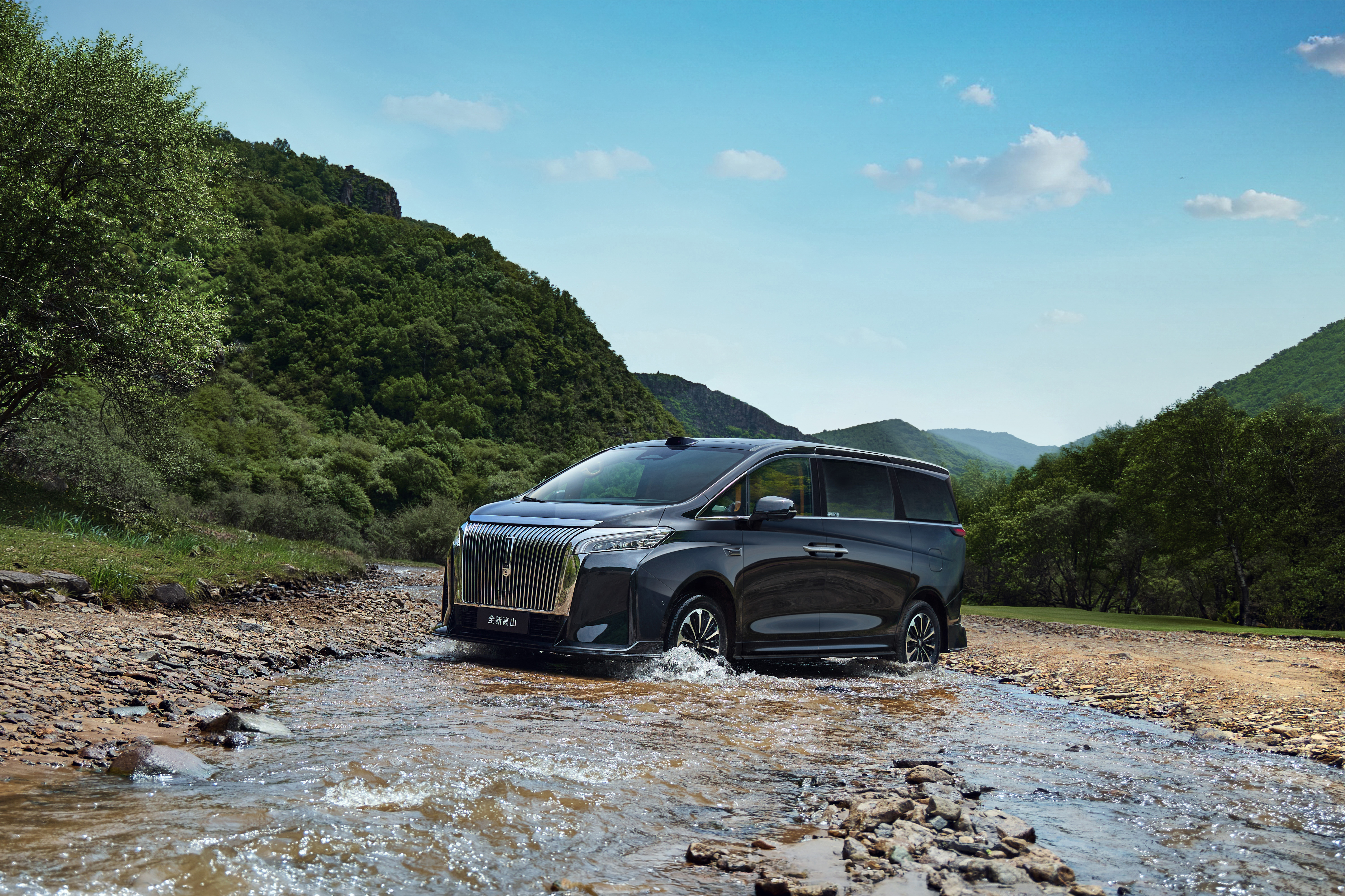 High Mountain 7 SUV - Photo 4