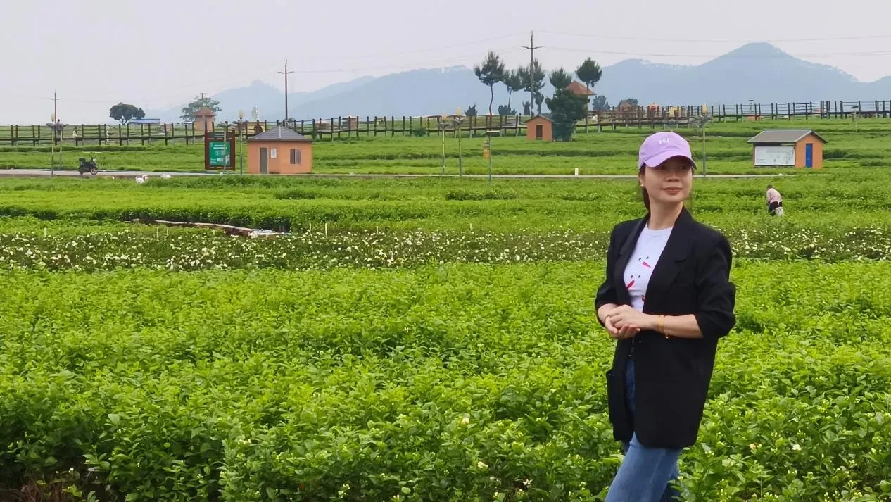 主理人莫莉在横州茉莉花田中的实拍