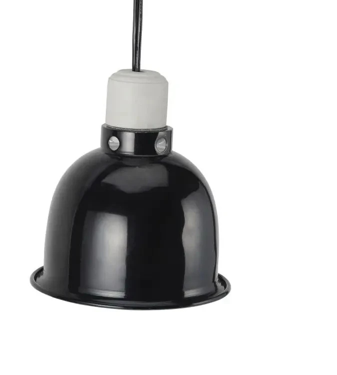 5.5'' Reptile Lamp