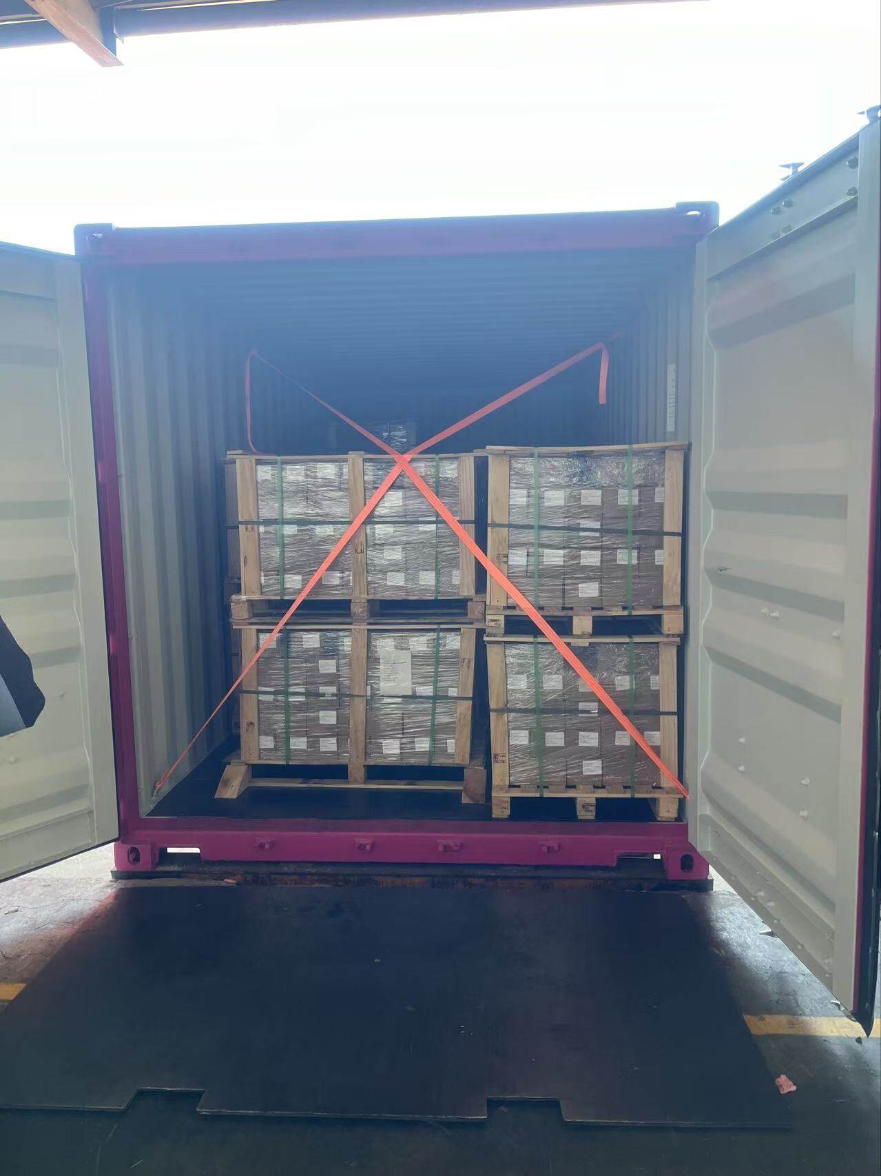 Shipping Container Loading with Palletized Goods