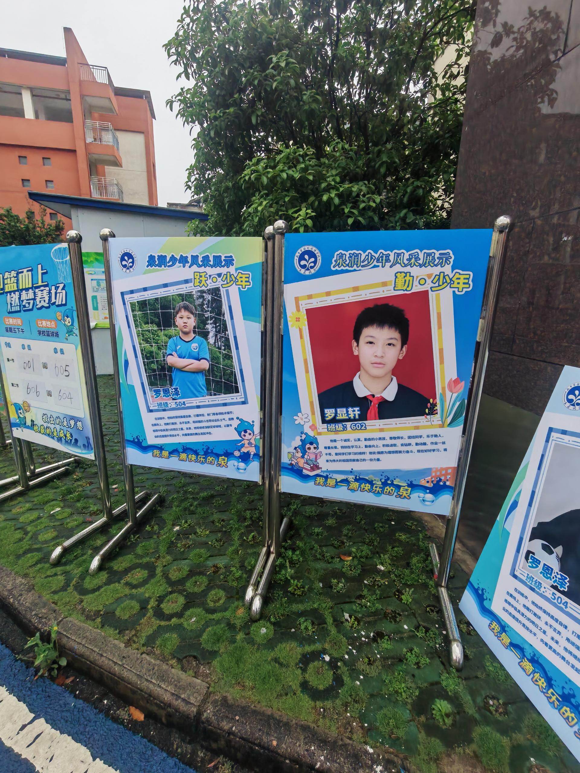 学校风采展架