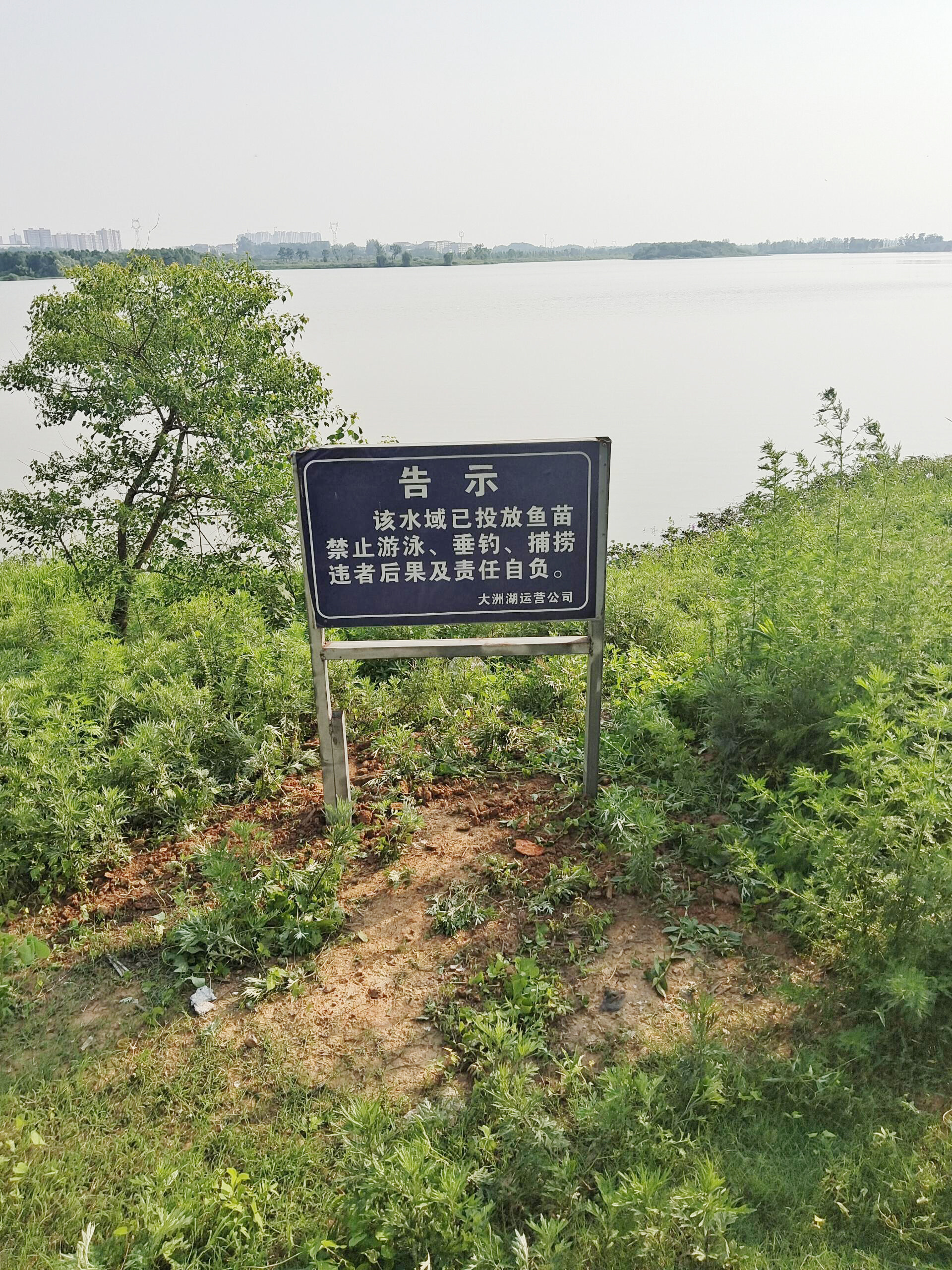 湖边水域安全警示告示立牌