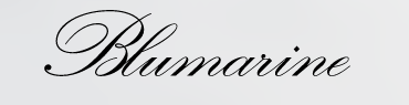 Brand Partner 1
