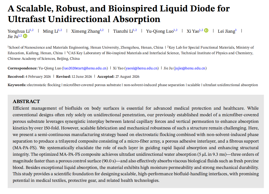 A Scalable, Robust, and Bioinspired Liquid Diode for Ultrafast Unidirectional Absorption