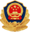 Public Security Filing Icon