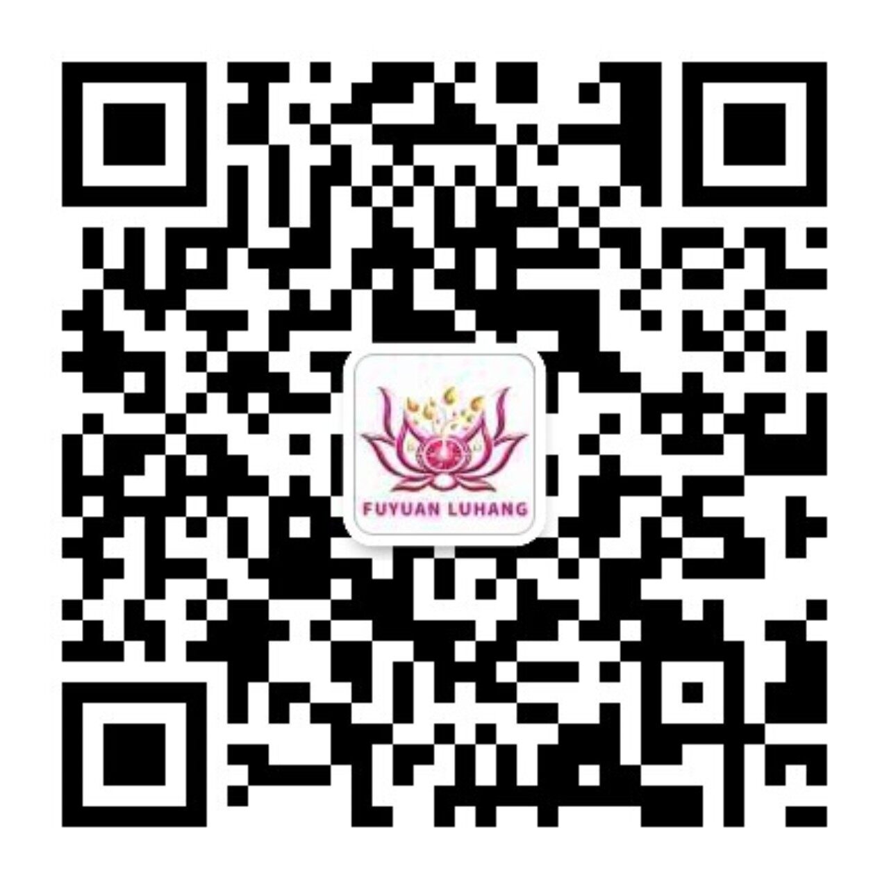 WeChat Official Account QR Code