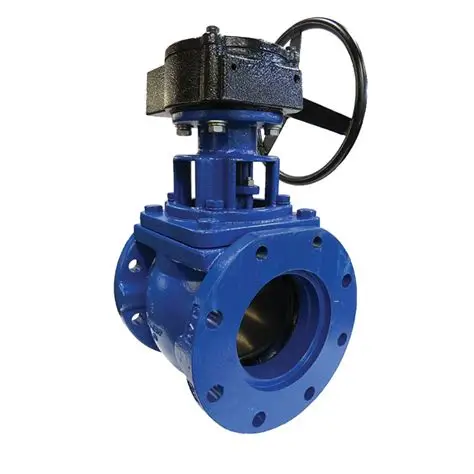 Plug Valve