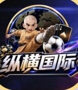 纵横国际