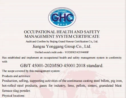 ISO 45001 Occupational Health and Safety Management