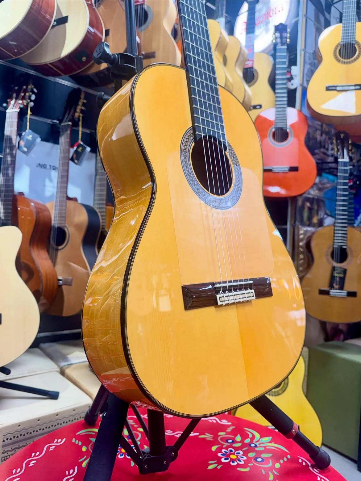 Esteve 8F view 4