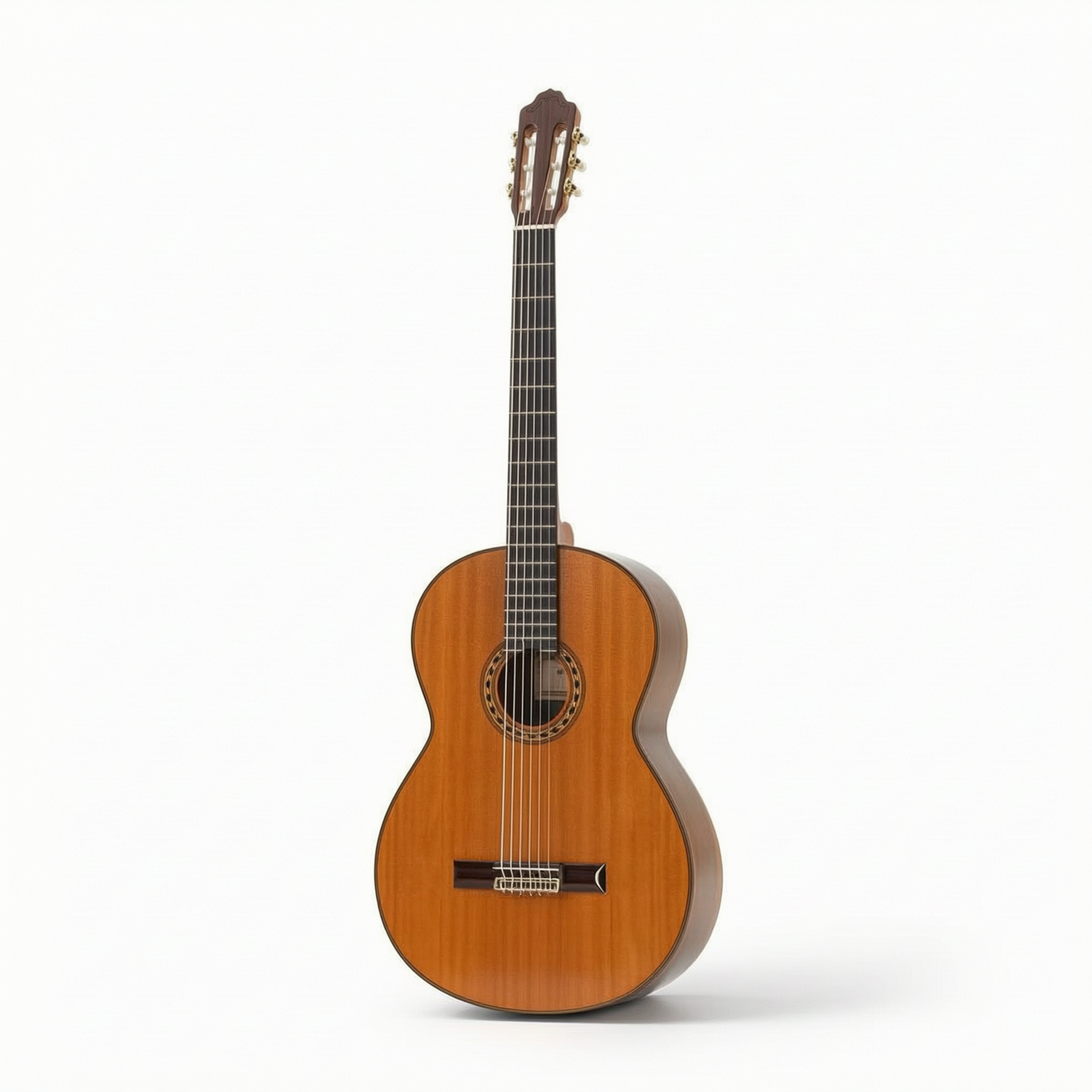 Esteve Octave Bass 6