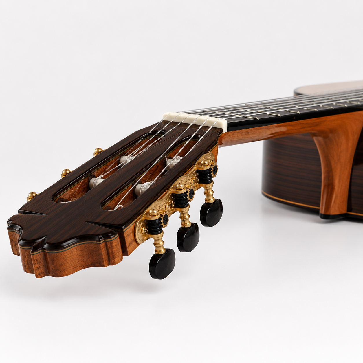 Esteve 65 AÑOS view 3