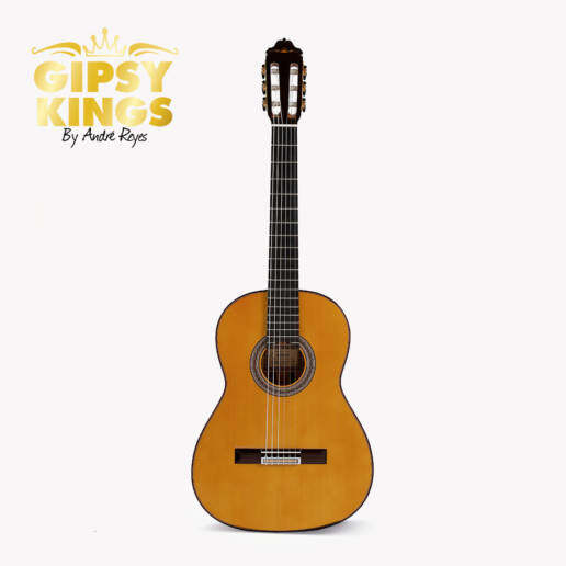 Esteve Gipsy Kings 吉普赛国王 view 3