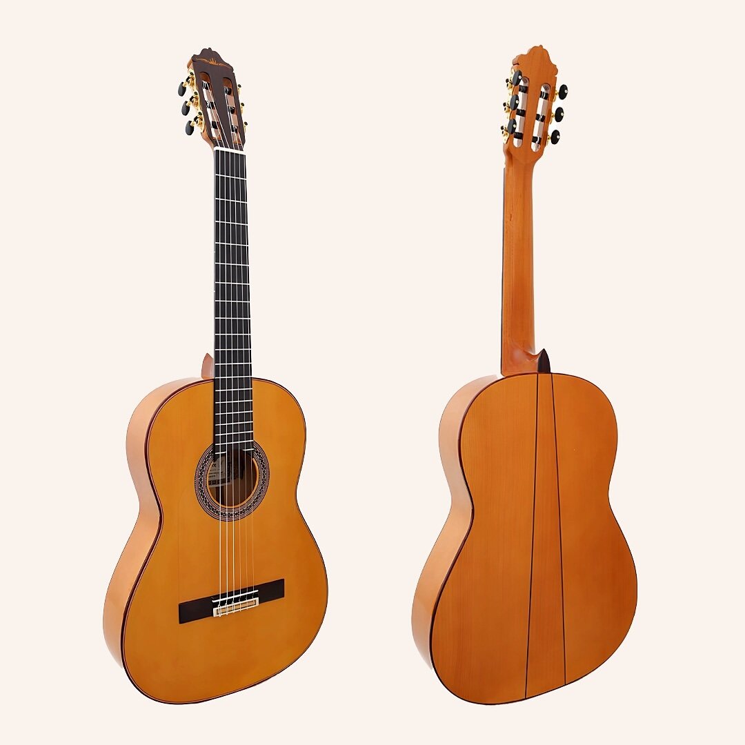 Esteve Gipsy Kings 吉普赛国王 view 4