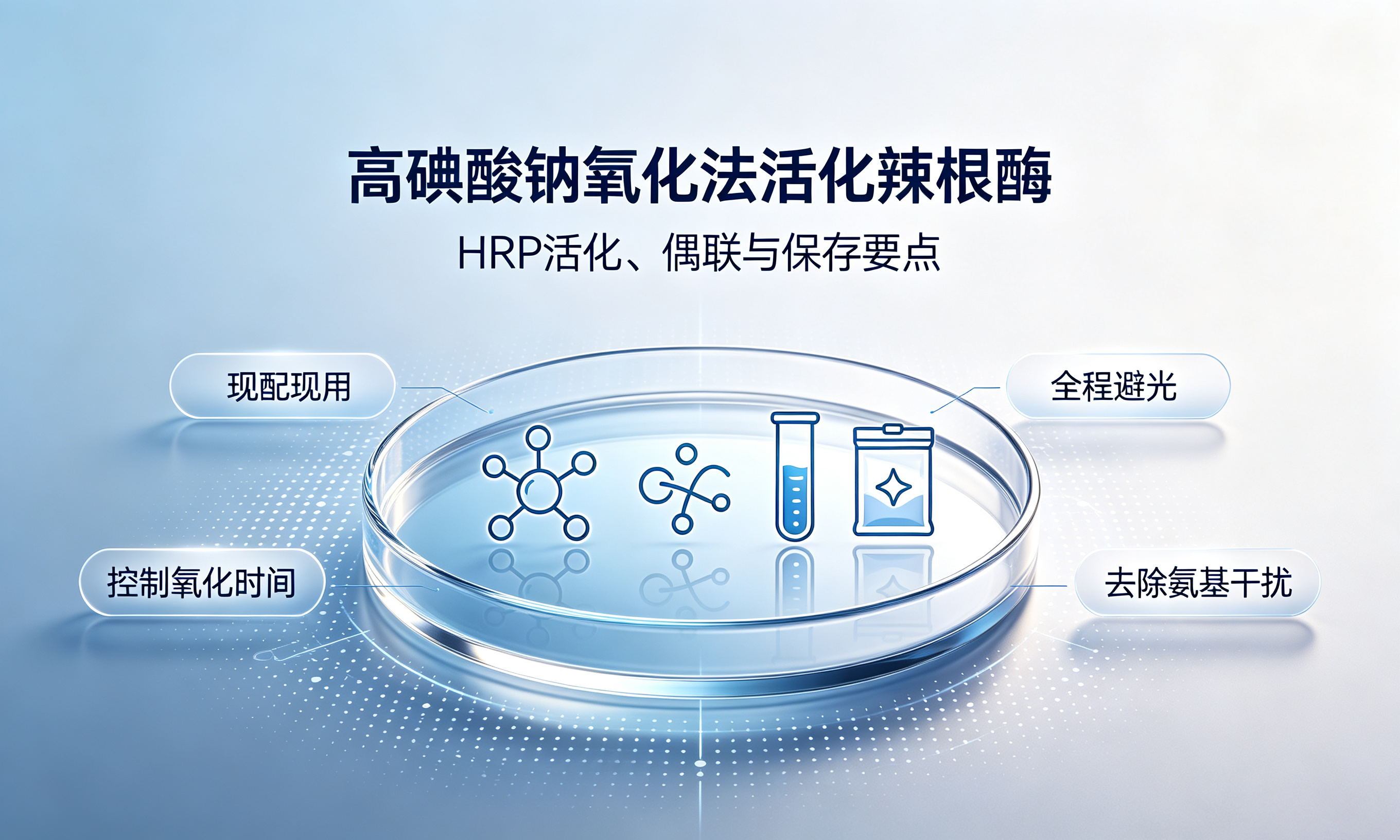 高碘酸钠氧化法活化辣根过氧化物酶(HRP)完整实验方案