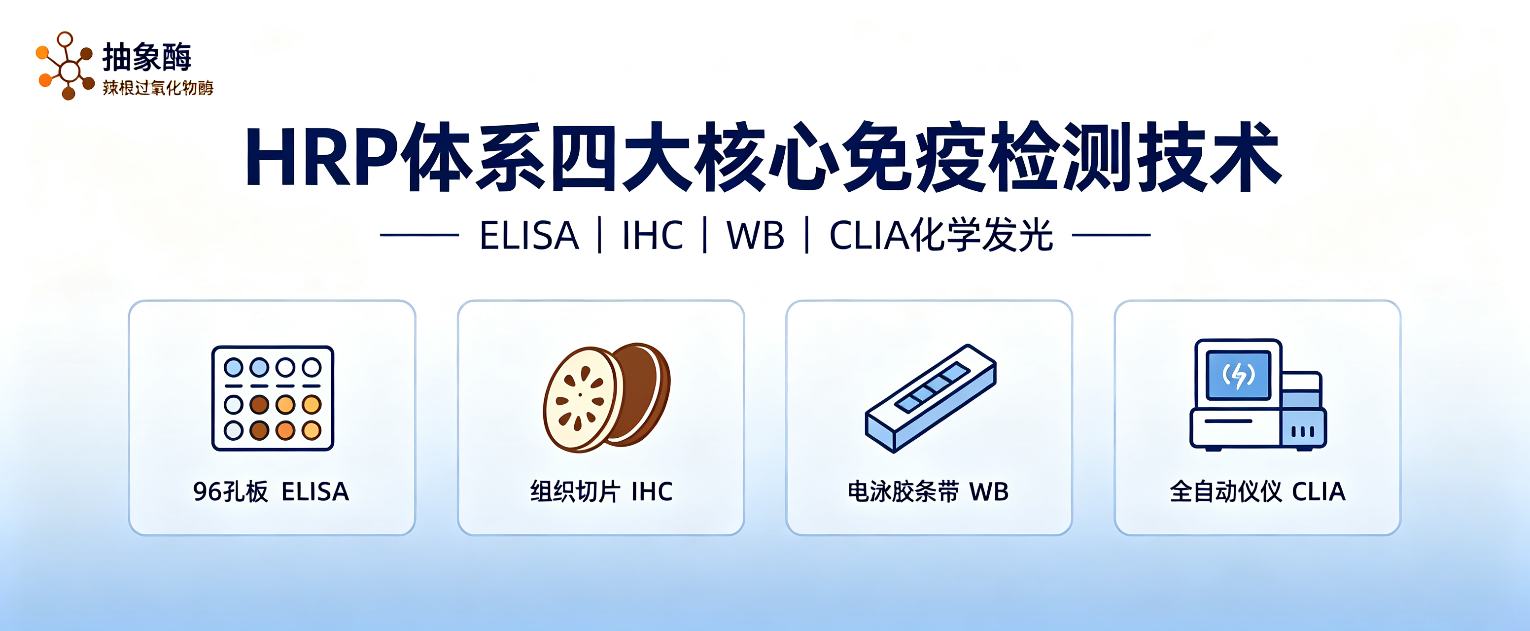 一篇文章吃透 HRP 四大核心技术:ELISA、IHC、WB、CLIA 化学发光全解析