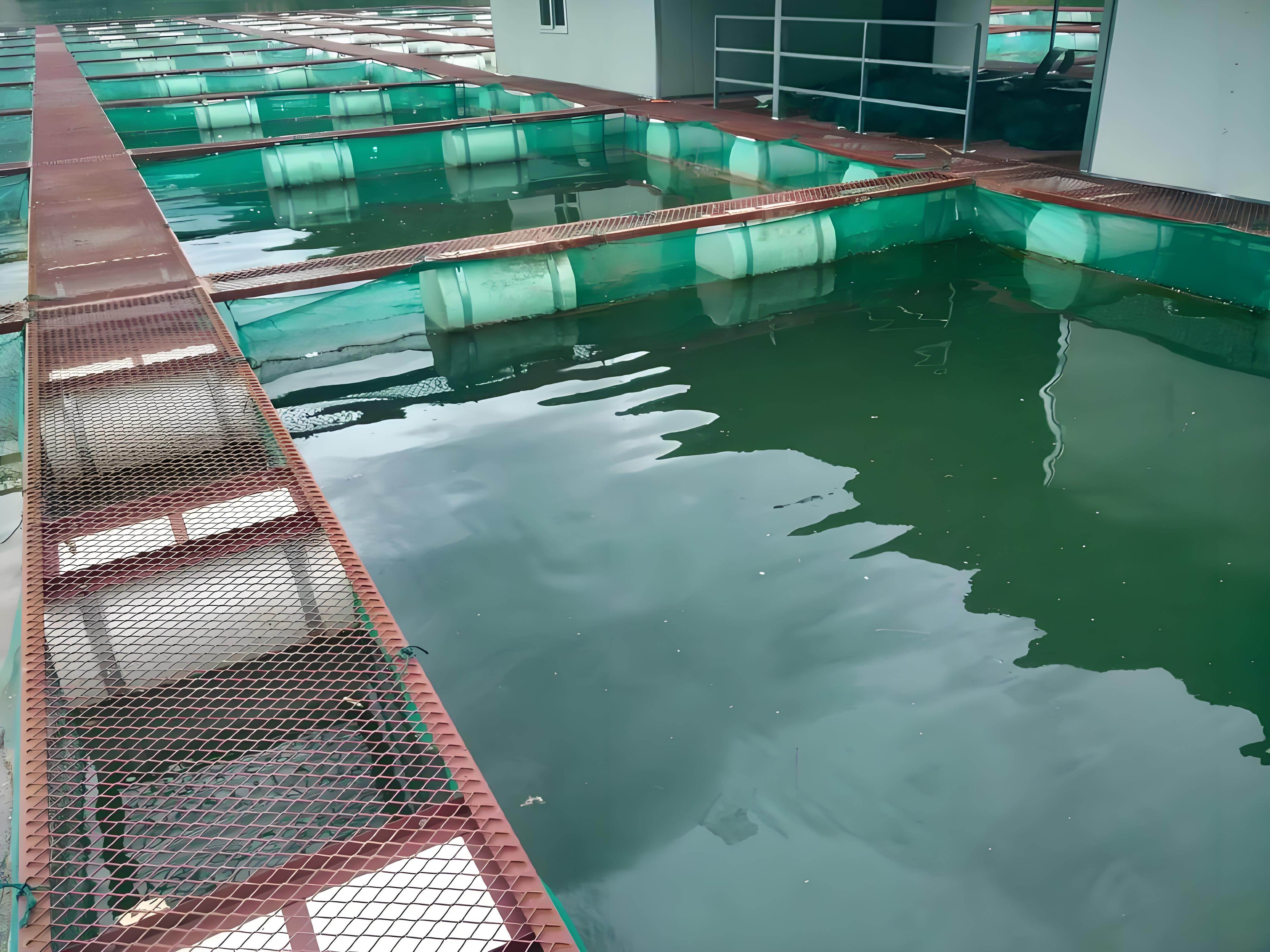 PE Netting - Aquaculture Grade