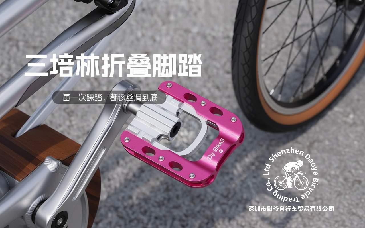 Dy·BikeS 三培林折叠脚踏主图银色车架安装效果