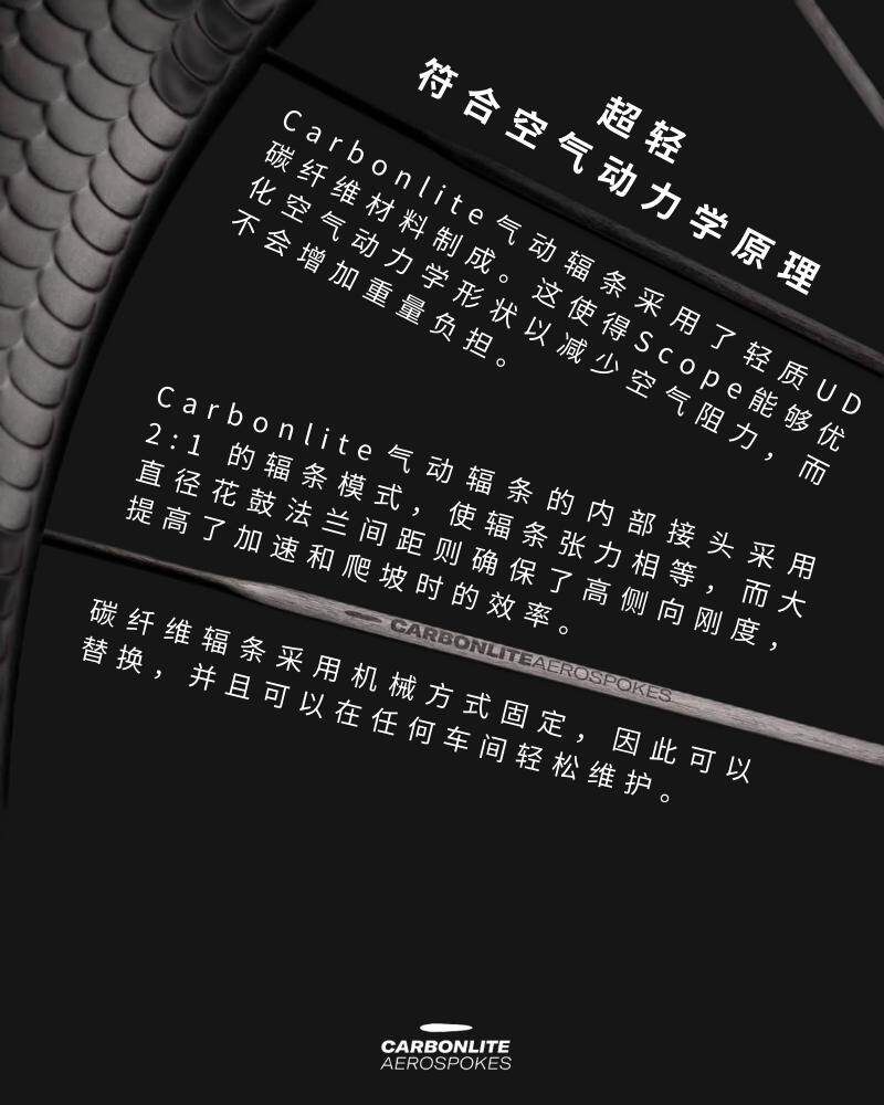Carbonlite 碳纤维气动辐条