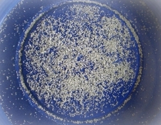 Calcium Hypochlorite Product