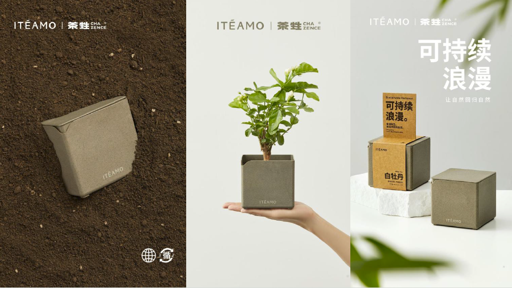 ITÉAMO Planter Box