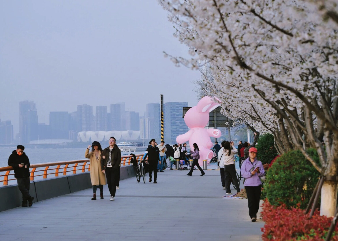 淋一场樱花雨，抓两只萌兔子！ - 图片8