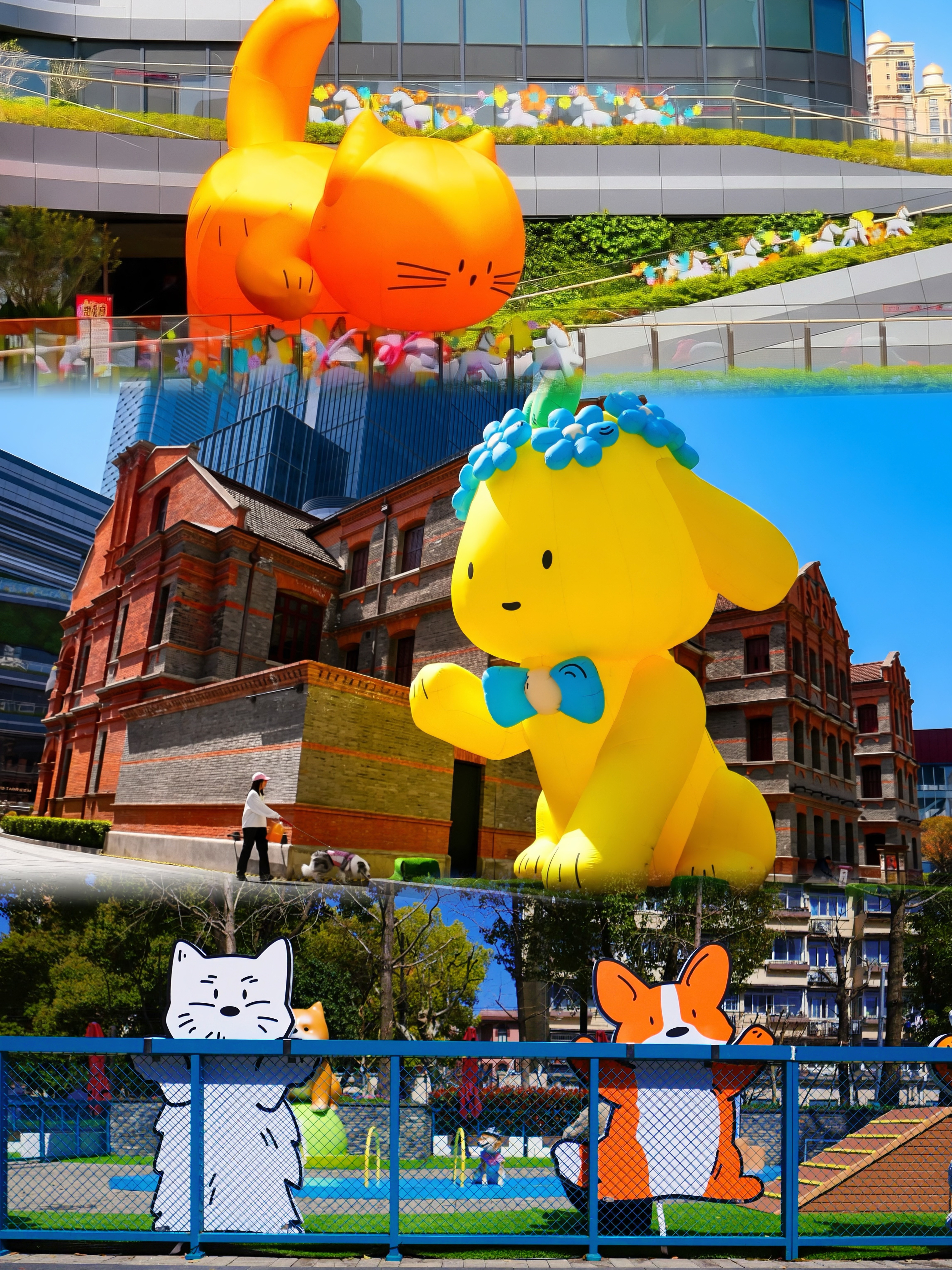 百年弄堂里的巨型萌宠|海派今潮·萌游记